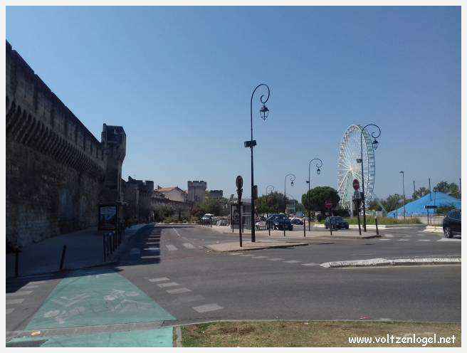 Vue envoûtante du Pont Saint-Bénézet, témoin de l'histoire médiévale et des trésors d'Avignon.
