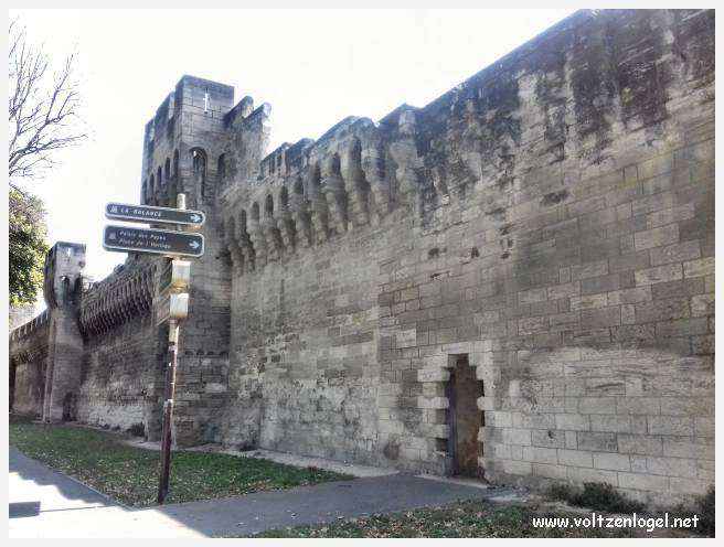 Vue envoûtante du Pont Saint-Bénézet, témoin de l'histoire médiévale et des trésors d'Avignon.
