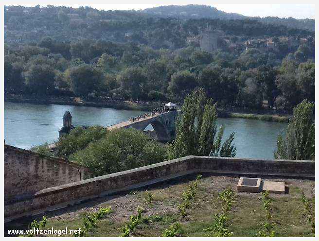 Vue envoûtante du Pont Saint-Bénézet, témoin de l'histoire médiévale et des trésors d'Avignon.