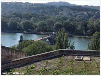 Pont Saint Bénezet : Témoignage artistique à Avignon