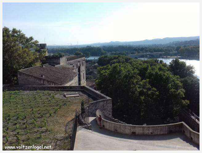 Vue envoûtante du Pont Saint-Bénézet, témoin de l'histoire médiévale et des trésors d'Avignon.