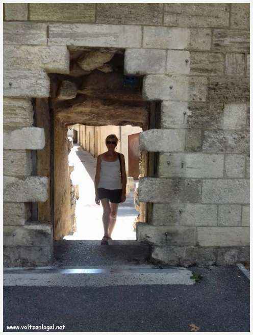 Vue panoramique sur Avignon, cité historique aux trésors cachés et à la richesse culturelle.