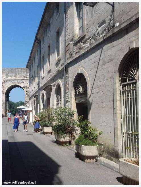 Vue panoramique sur Avignon, cité historique aux trésors cachés et à la richesse culturelle.