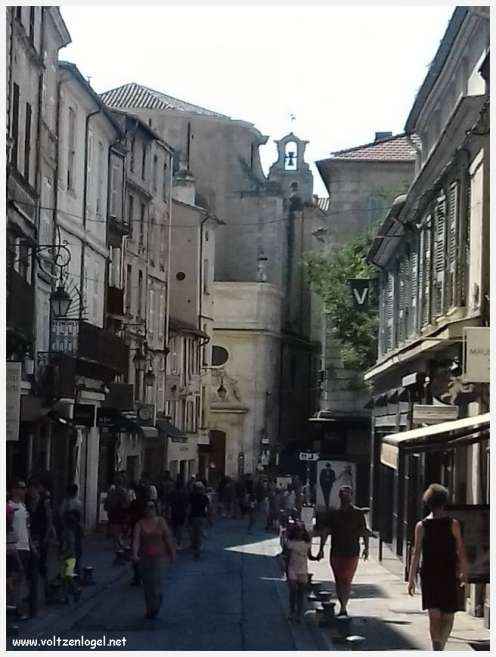 Vue panoramique sur Avignon, cité historique aux trésors cachés et à la richesse culturelle.