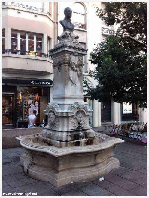 Vue panoramique sur Avignon, cité historique aux trésors cachés et à la richesse culturelle.
