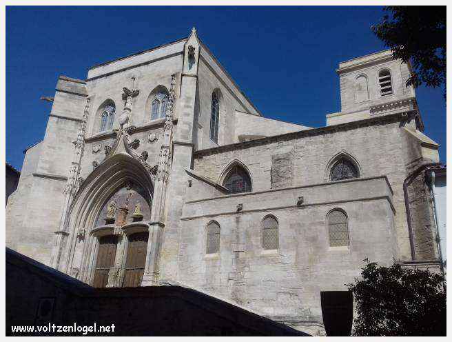 Vue panoramique sur Avignon, cité historique aux trésors cachés et à la richesse culturelle.