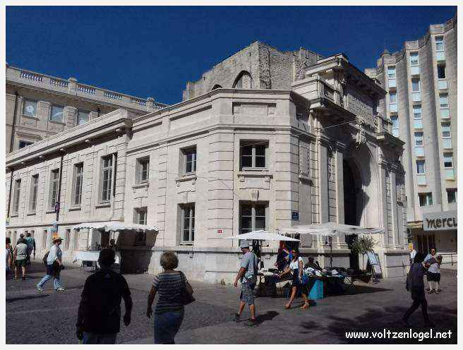 Vue panoramique sur Avignon, cité historique aux trésors cachés et à la richesse culturelle.