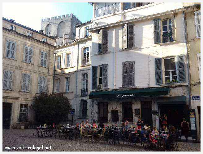 Vue panoramique sur Avignon, cité historique aux trésors cachés et à la richesse culturelle.