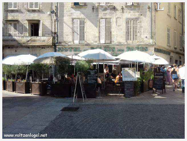 Vue panoramique sur Avignon, cité historique aux trésors cachés et à la richesse culturelle.
