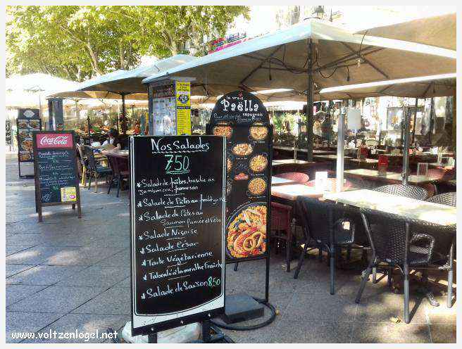 Vue panoramique sur Avignon, cité historique aux trésors cachés et à la richesse culturelle.