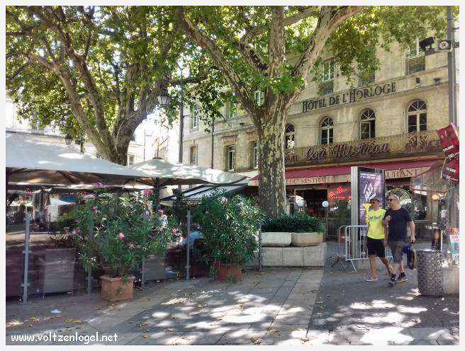 Vue panoramique sur Avignon, cité historique aux trésors cachés et à la richesse culturelle.
