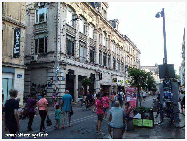 Vue panoramique sur Avignon, cité historique aux trésors cachés et à la richesse culturelle.