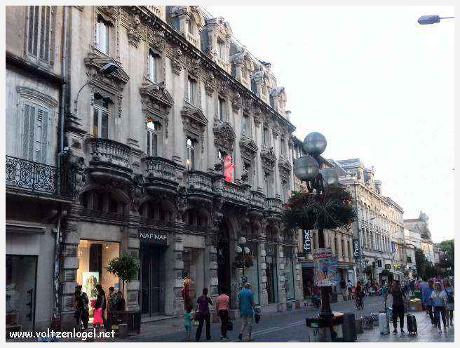 Vue panoramique sur Avignon, cité historique aux trésors cachés et à la richesse culturelle.