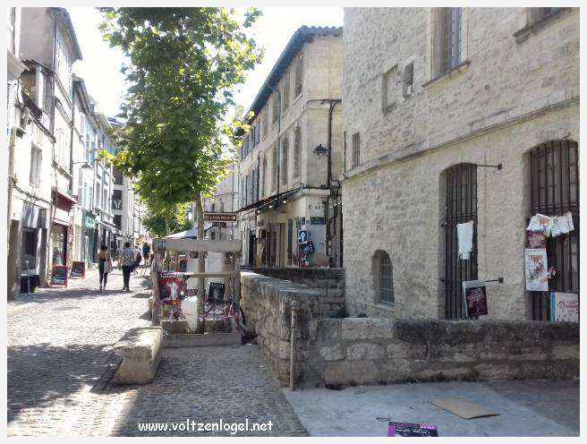 Vue panoramique sur Avignon, cité historique aux trésors cachés et à la richesse culturelle.