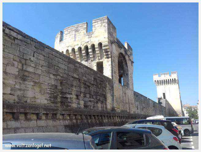 Vue panoramique sur Avignon, cité historique aux trésors cachés et à la richesse culturelle.
