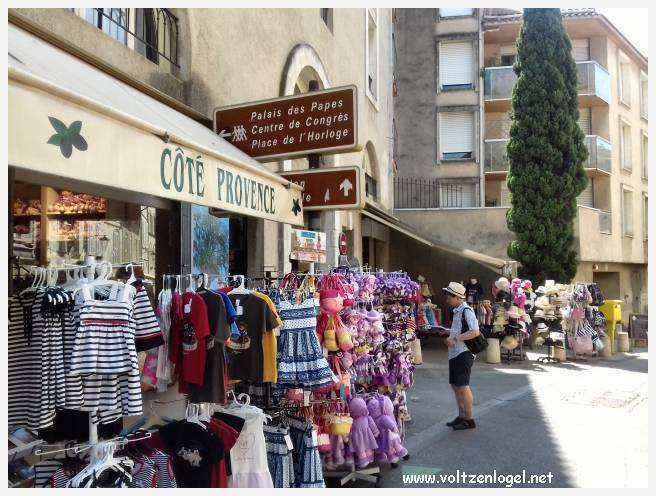 Vue panoramique sur Avignon, cité historique aux trésors cachés et à la richesse culturelle.
