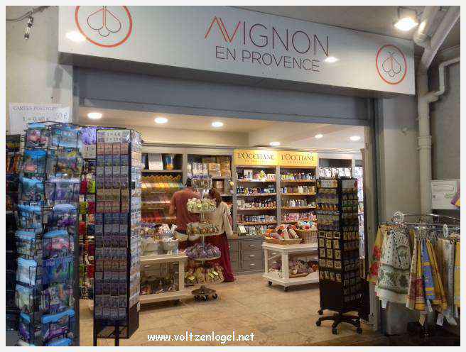 Vue panoramique sur Avignon, cité historique aux trésors cachés et à la richesse culturelle.