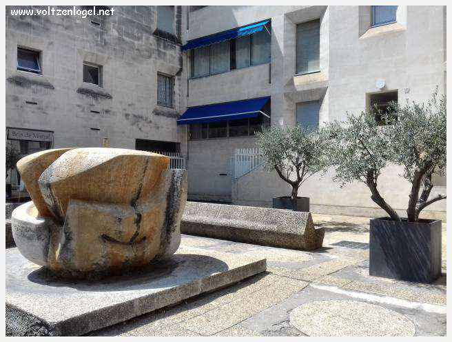 Vue panoramique sur Avignon, cité historique aux trésors cachés et à la richesse culturelle.