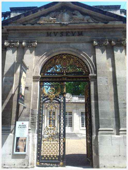 Vue panoramique sur Avignon, cité historique aux trésors cachés et à la richesse culturelle.