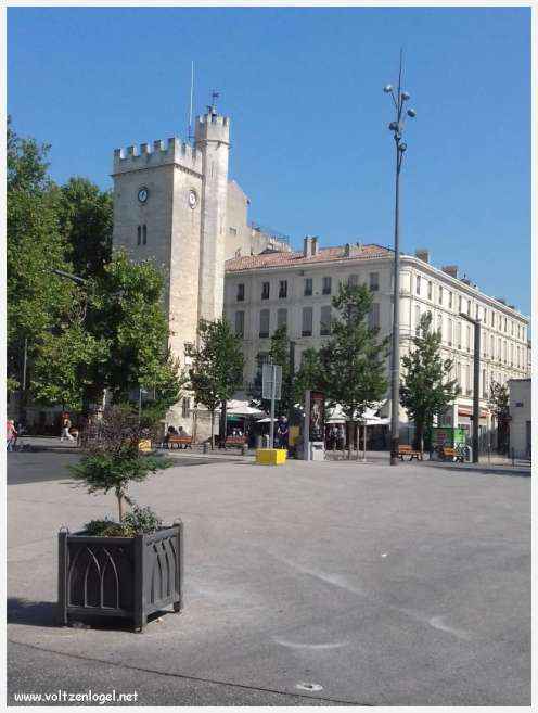 Vue panoramique sur Avignon, cité historique aux trésors cachés et à la richesse culturelle.