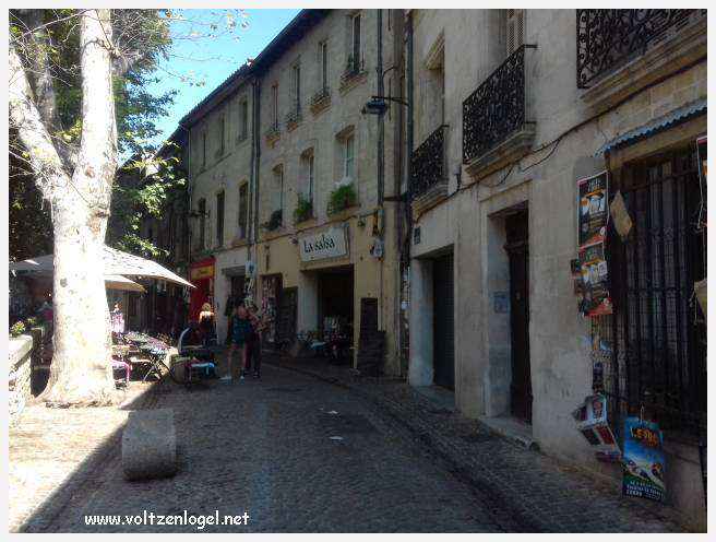 Vue panoramique sur Avignon, cité historique aux trésors cachés et à la richesse culturelle.