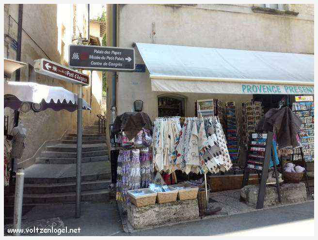 Vue panoramique sur Avignon, cité historique aux trésors cachés et à la richesse culturelle.