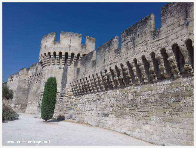 Vue panoramique sur Avignon, cité historique aux trésors cachés et à la richesse culturelle.