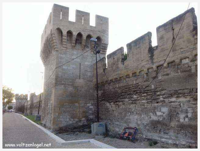 Vue panoramique sur Avignon, cité historique aux trésors cachés et à la richesse culturelle.