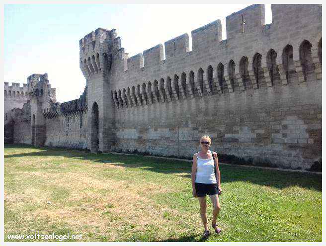 Vue panoramique sur Avignon, cité historique aux trésors cachés et à la richesse culturelle.