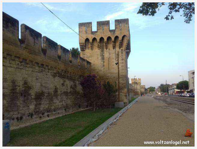 Vue panoramique sur Avignon, cité historique aux trésors cachés et à la richesse culturelle.