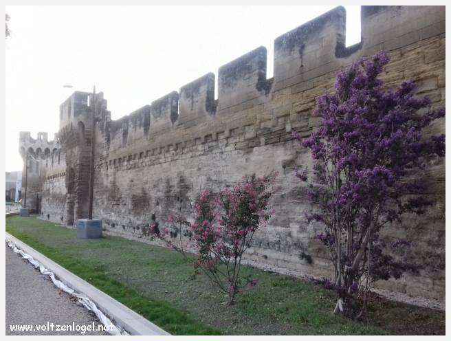 Vue panoramique sur Avignon, cité historique aux trésors cachés et à la richesse culturelle.