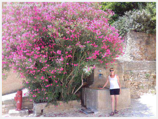 Vue pittoresque du village de Bédoin, niché au pied majestueux du Mont Ventoux.
