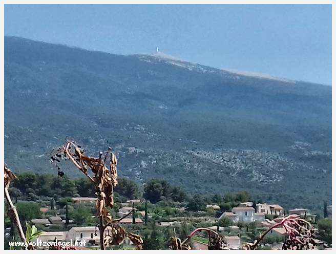 Vue pittoresque du village de Bédoin, niché au pied majestueux du Mont Ventoux.