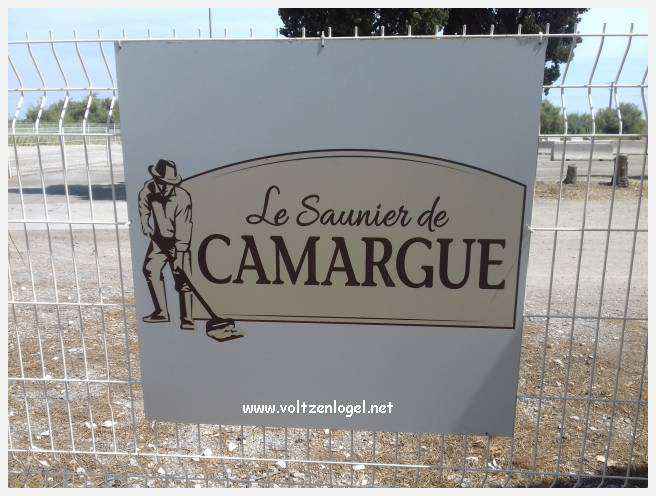 Vue panoramique des remparts médiévaux de Aigues-Mortes.