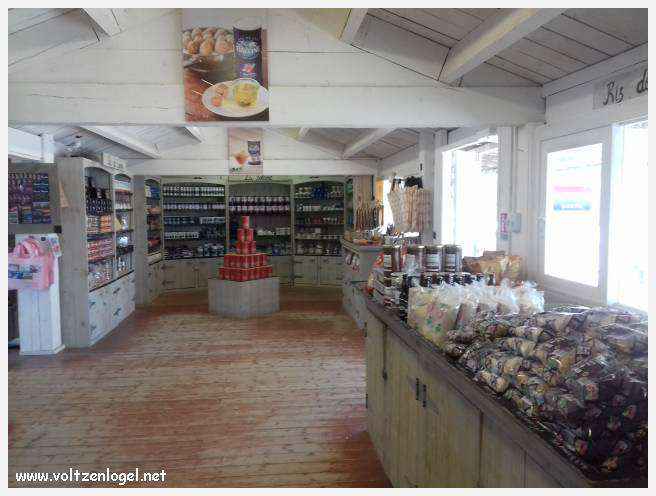 Vue panoramique des remparts médiévaux de Aigues-Mortes.