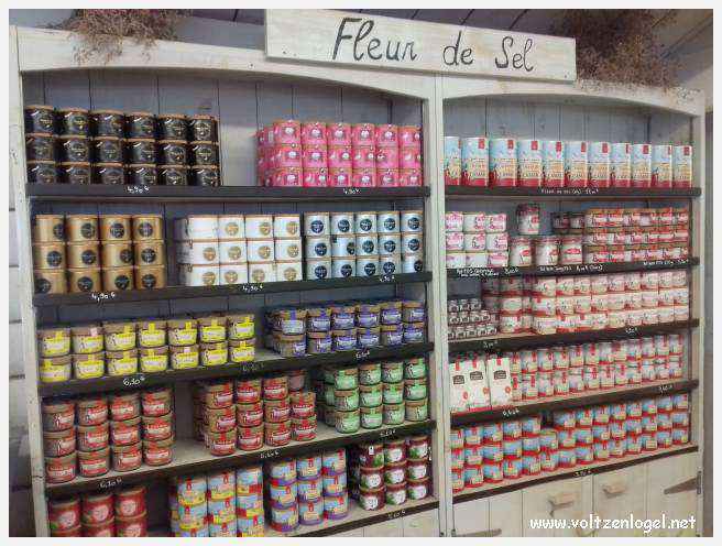 Vue panoramique des remparts médiévaux de Aigues-Mortes.