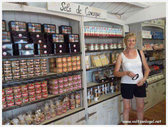 Vue panoramique des remparts médiévaux de Aigues-Mortes.