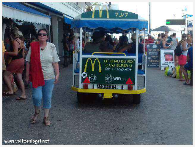 Vue panoramique des remparts médiévaux de Aigues-Mortes.