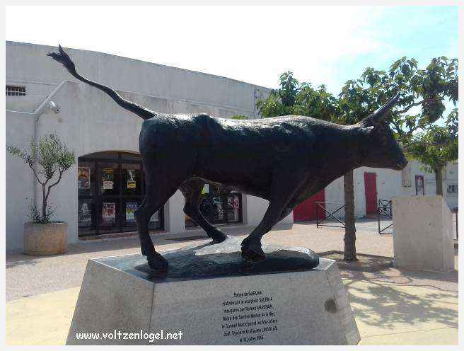 Vue panoramique des remparts médiévaux de Aigues-Mortes.