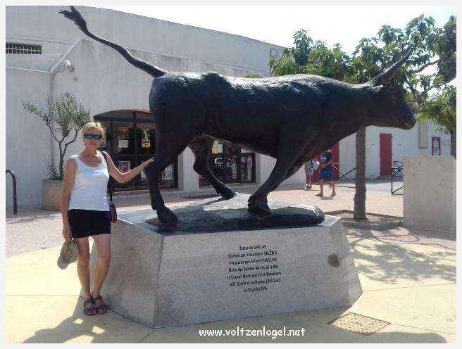 Vue panoramique des remparts médiévaux de Aigues-Mortes.