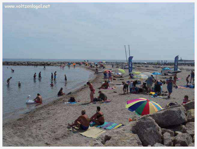 Vue panoramique des remparts médiévaux de Aigues-Mortes.