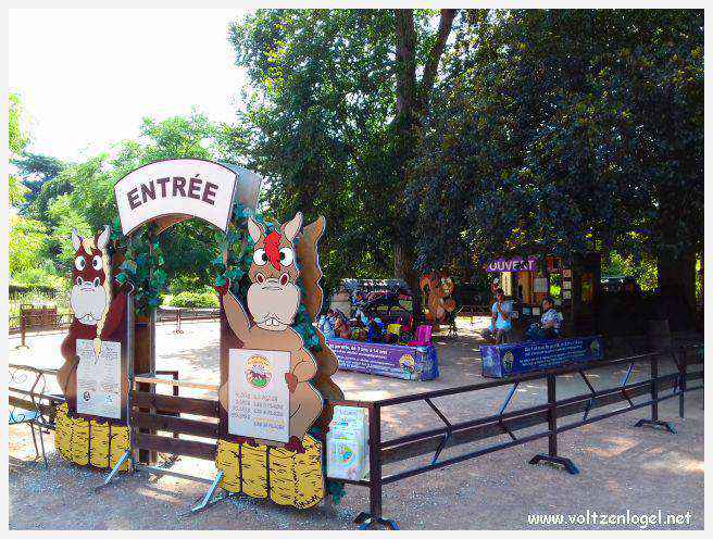 Parc de la Tête d'Or: Oasis urbaine de Lyon, mélange de nature et d'histoire.