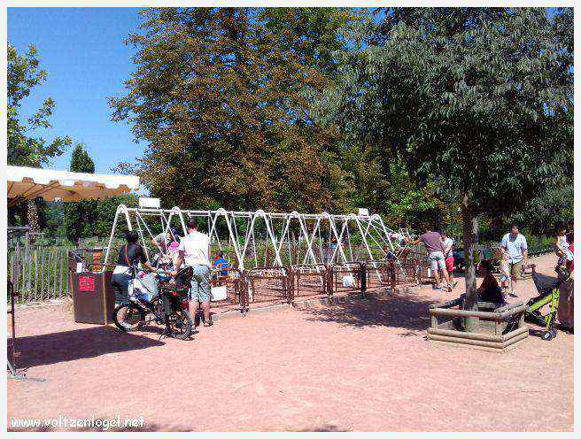 Parc de la Tête d'Or: Oasis urbaine de Lyon, mélange de nature et d'histoire.
