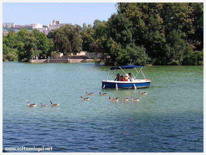 Parc de la Tête d'Or: Oasis urbaine de Lyon, mélange de nature et d'histoire.