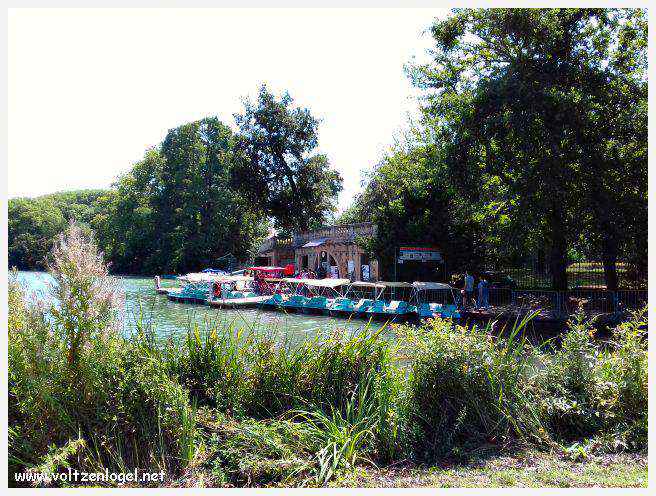 Parc de la Tête d'Or: Oasis urbaine de Lyon, mélange de nature et d'histoire.