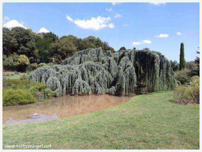 Parc de la Tête d'Or: Oasis urbaine de Lyon, mélange de nature et d'histoire.