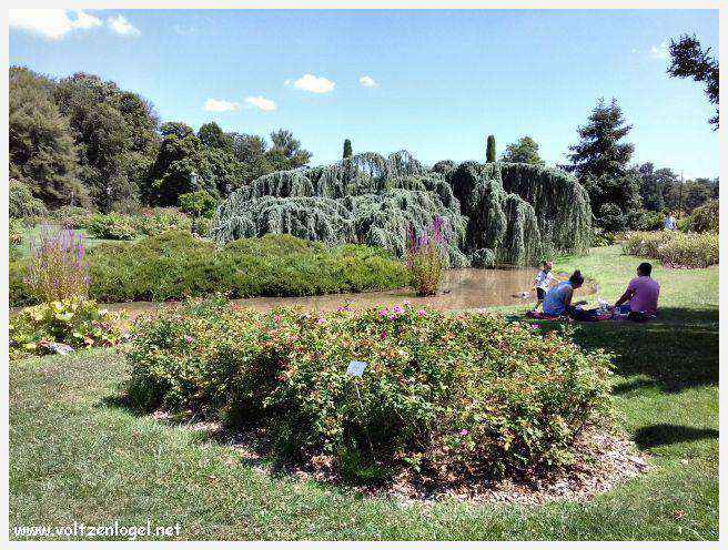 Parc de la Tête d'Or: Oasis urbaine de Lyon, mélange de nature et d'histoire.