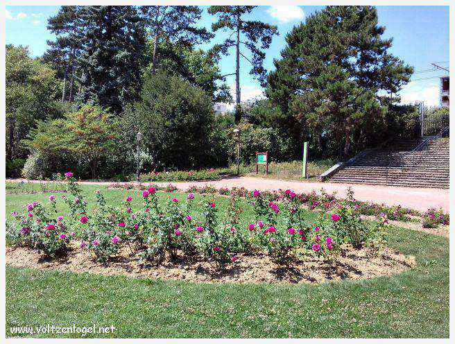 Parc de la Tête d'Or: Oasis urbaine de Lyon, mélange de nature et d'histoire.