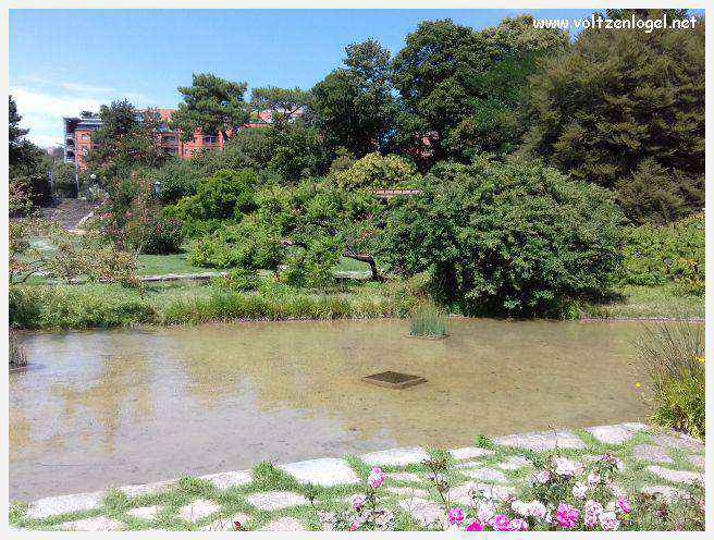 Parc de la Tête d'Or: Oasis urbaine de Lyon, mélange de nature et d'histoire.