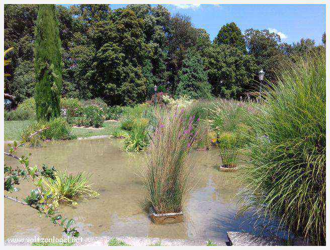 Parc de la Tête d'Or: Oasis urbaine de Lyon, mélange de nature et d'histoire.